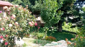 Elatos cozy Studio - Image 5
