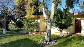 Danaides Bungalows - Image 4