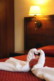 Hotel Picok - Image 4