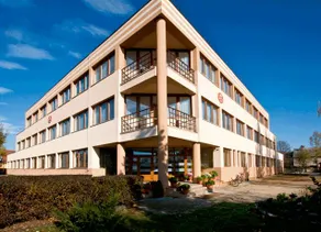 Vasvirag Hotel - Image 2