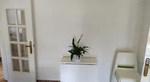Apartamento Ciudad Jardin - Image 4