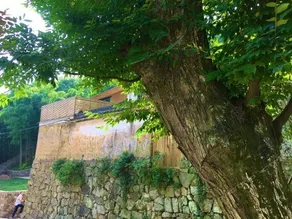 Moganshan Yishan Yishui Designer Homestay - Image 3