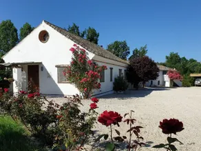 Holiday Home Finca Retama - Image 4