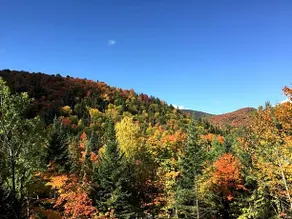Chalet Nature Laurentides - Image 3