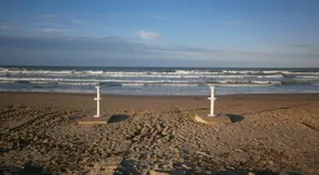 AD1000 Malybu Beach Oliva Nova - Image 3