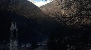 Felix - Image 5