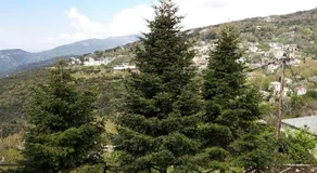 Liana's dollhouse in Agios Georgios Nilias, Pelion - Image 2