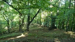Appartamento Fuscaldo Beach - Image 1
