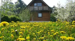 Holiday House Niedras Jurmala - Image 2