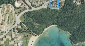 Nido di mare - Image 2