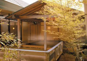 Akita Onsen Plaza - Image 4