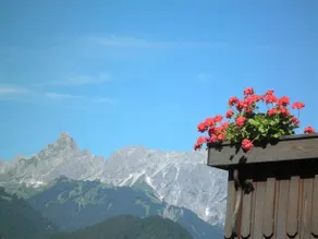 Alpenhaus Waldberg - Image 4