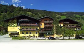 Villa Austria Saalbach - Image 3