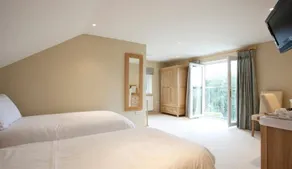 Cleeves Wood - Image 4
