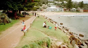 Avoca Beach and Bush - Image 2