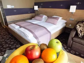 Wellness Hotel Katalin**** - Image 4