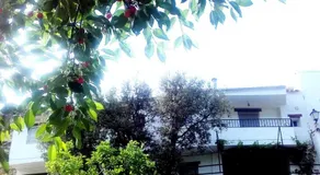 La María de Tortas - Image 4