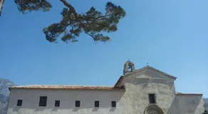 Stella di Mare - Image 2