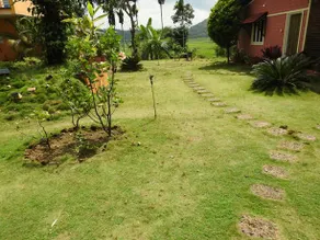 The bliss coorg - Image 2