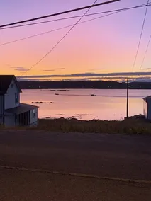 Joe Batt's Arm Cottage - Image 1