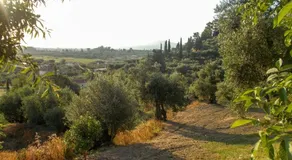 Mika's House - Image 5