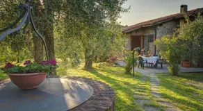 Tuscan Roots - Image 3