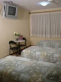 Las Camelias - Image 4