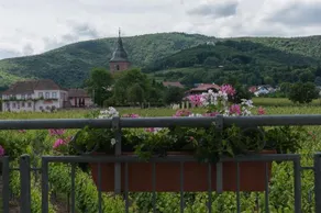 Weingut Eberle - Image 5