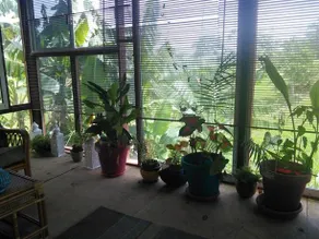 Moe's Place - Image 2