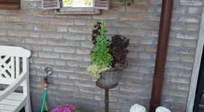 Anja's House - Image 5