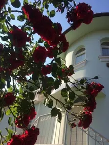 Villa Valeria Heviz - Image 3