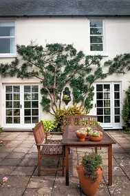 Little Manor - Image 5