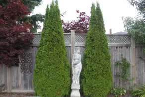 Twin Maples Bed And Breakfast - Image 4