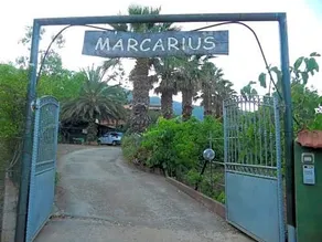 B&b Marcarius - Image 4
