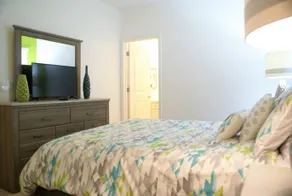 Alamo Vacation Rentals - Greater Orlando Area - Image 4