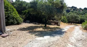 Villa Iremia - Image 2