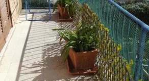 Alga marina - Image 3