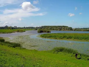 Roosje van Ooy - Image 3