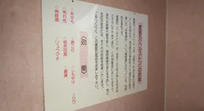 Pension Noah - Image 2