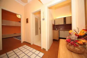 Magnolia Tirrenia - Image 3