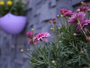 WUYUN FENGSHENG BOUTIQUE INN - Image 5