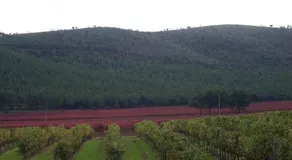 Casa Rural La Fàbrega - Image 5