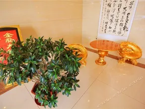 Jinlong Hotel - Image 5