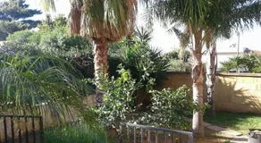 Girasole - Image 5
