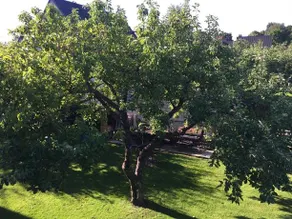 Mooni Cottage - Image 5