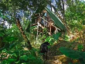 Earth Lodge - Image 5