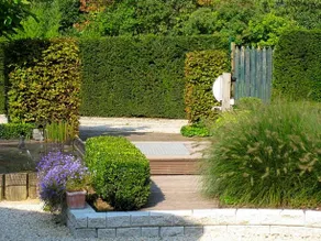 B&B Gusto - Image 4