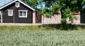 Dijkwoning Cadzand - Image 2