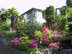 Holap Appartment Tazzino - Image 3