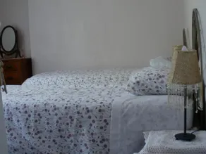 Aderyn Bach Cottage - Image 3
